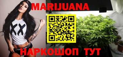 мдпв Новозыбков