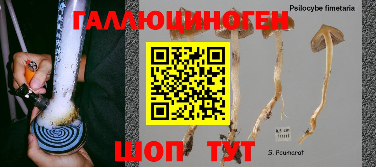 Псилоцибиновые грибы прущие грибы Сергиев Посад