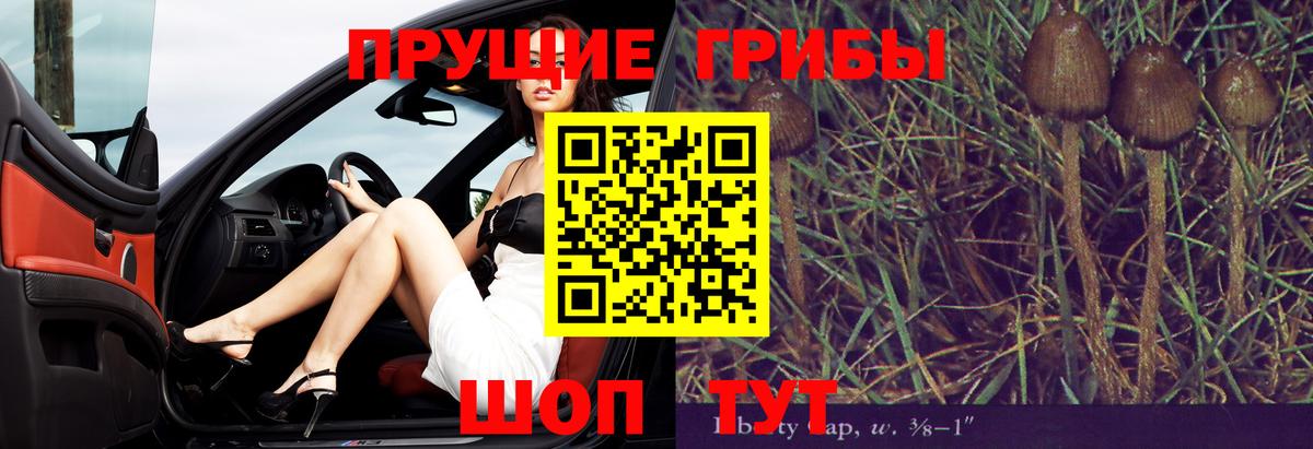 Псилоцибиновые грибы GOLDEN TEACHER  Вход с VPN  Сергиев Посад 